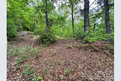 99999 Bird Creek Estates Road, Black Mountain, NC 28711 - Photo 16