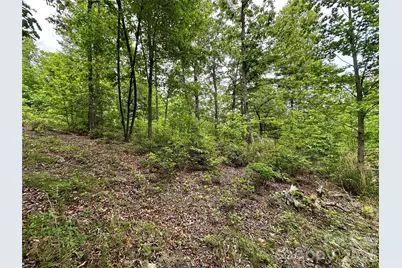 99999 Bird Creek Estates Road, Black Mountain, NC 28711 - Photo 36