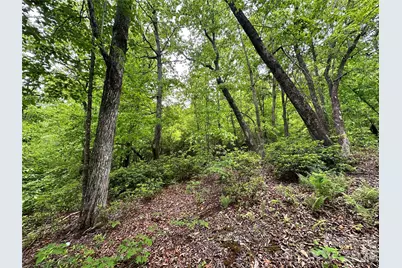 99999 Bird Creek Estates Road, Black Mountain, NC 28711 - Photo 18