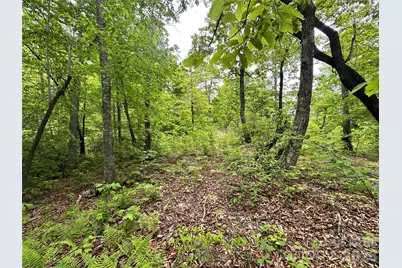 99999 Bird Creek Estates Road, Black Mountain, NC 28711 - Photo 32