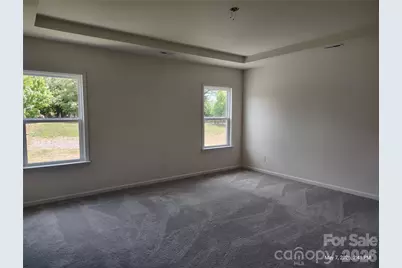 165 Winterberry Street, Mooresville, NC 28117 - Photo 18