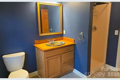 3205 Collinsville Road, Columbus, NC 28722 - Photo 20