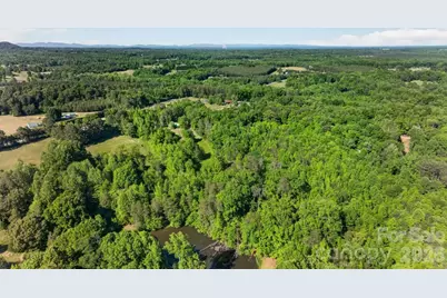 3205 Collinsville Road, Columbus, NC 28722 - Photo 44