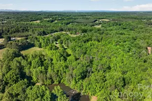 3205 Collinsville Rd, Columbus, NC 28722 - Photo 44