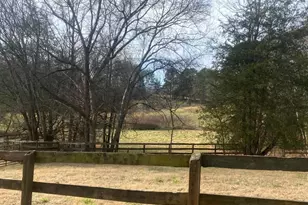3205 Collinsville Rd, Columbus, NC 28722 - Photo 32