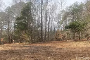 3205 Collinsville Rd, Columbus, NC 28722 - Photo 36