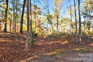 0 Wilderness Ridge, Rutherfordton, NC 28139 - Photo 1