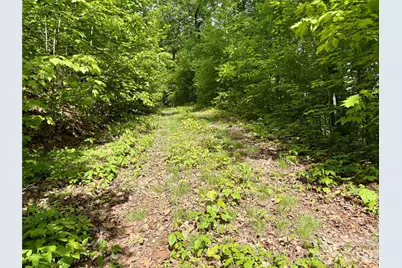 0 Carpenter Road, Bryson City, NC 28713 - Photo 24