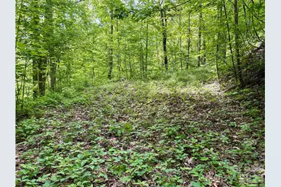 0 Carpenter Road, Bryson City, NC 28713 - Photo 28