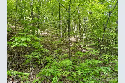 0 Carpenter Road, Bryson City, NC 28713 - Photo 22