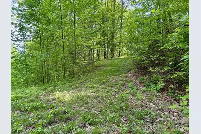 0 Carpenter Road, Bryson City, NC 28713 - Photo 20
