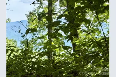 0 Carpenter Road, Bryson City, NC 28713 - Photo 14