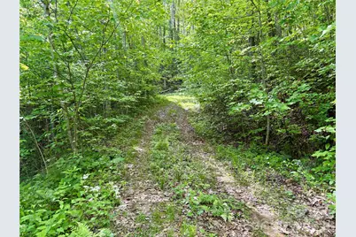 0 Carpenter Road, Bryson City, NC 28713 - Photo 10