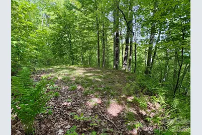 0 Carpenter Road, Bryson City, NC 28713 - Photo 18