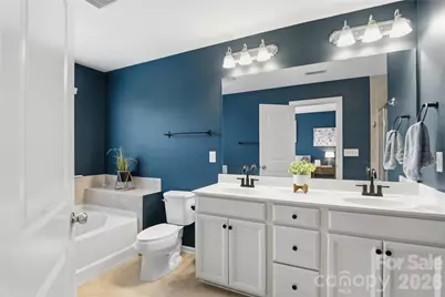 1223 Bhaltair Lane, Fort Mill, SC 29708 - Photo 24