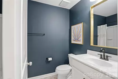 1223 Bhaltair Lane, Fort Mill, SC 29708 - Photo 20