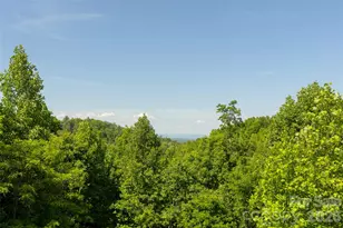 170 Summit Dr, Nebo, NC 28761 - Photo 48