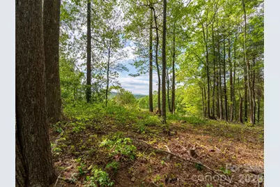 661 Whites Lake Boulevard, Saluda, NC 28773 - Photo 4