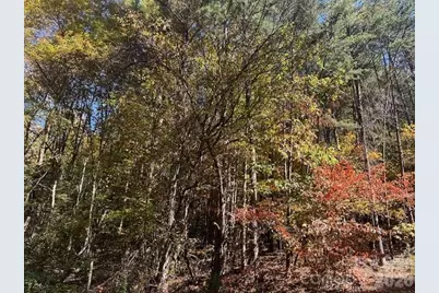 4294 South View Boulevard, Morganton, NC 28655 - Photo 2