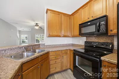 17747 Trolley Crossing Way, Cornelius, NC 28031 - Photo 12