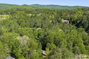 30 Kanuga Heights Ln, Hendersonville, NC 28739 - Photo 38
