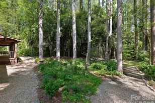 30 Kanuga Heights Ln, Hendersonville, NC 28739 - Photo 4