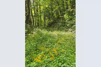 99999 Roaring Fork Road, Mars Hill, NC 28754 - Photo 10