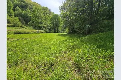 99999 Roaring Fork Road, Mars Hill, NC 28754 - Photo 12