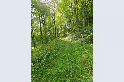 99999 Roaring Fork Road, Mars Hill, NC 28754 - Photo 14