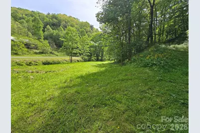99999 Roaring Fork Road, Mars Hill, NC 28754 - Photo 8