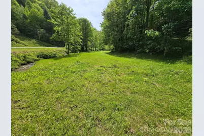 99999 Roaring Fork Road, Mars Hill, NC 28754 - Photo 2