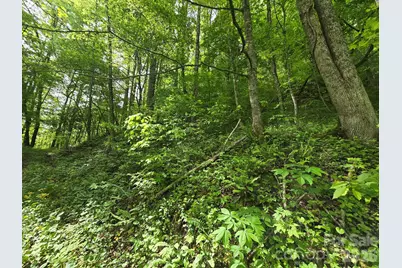 99999 Roaring Fork Road, Mars Hill, NC 28754 - Photo 18