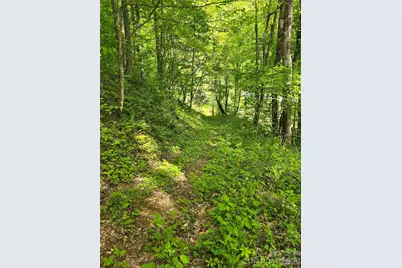 99999 Roaring Fork Road, Mars Hill, NC 28754 - Photo 16