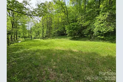 99999 Roaring Fork Road, Mars Hill, NC 28754 - Photo 6