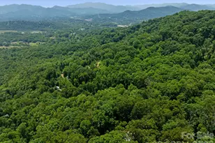 174 Deep Woods Trail, Canton, NC 28716 - Photo 42