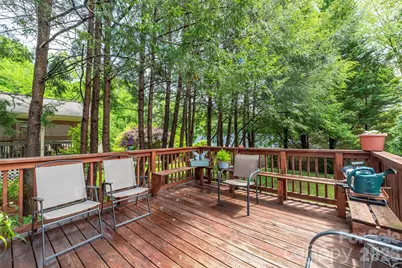 110 Enthoffer Street, Black Mountain, NC 28711 - Photo 34