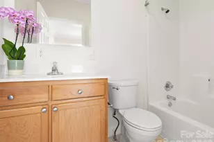 1 Hedgerose Ct, Asheville, NC 28805 - Photo 4