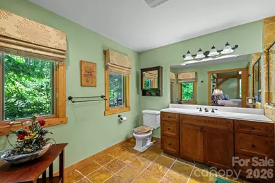 167 Wild Orchid Trail, Bryson City, NC 28713 - Photo 24