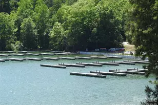 120 Lakewood Dr, Lake Lure, NC 28746 - Photo 48