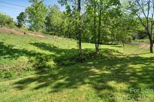23 Lela Ln, Alexander, NC 28701 - Photo 24
