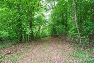 2517 Horseshoe Road, Westfield, NC 27053 - Photo 38