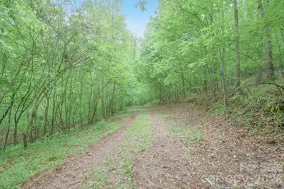 2517 Horseshoe Road, Westfield, NC 27053 - Photo 40