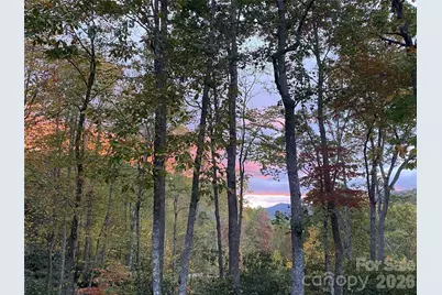 102 Carriage Drive, Fairview, NC 28730 - Photo 6