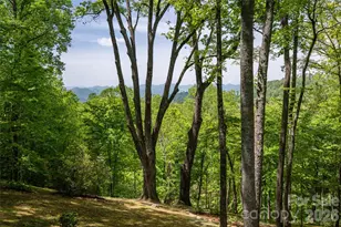 15 Hunter's Way, Asheville, NC 28804 - Photo 42