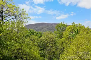 536 Hawk Mountain Rd, Lake Toxaway, NC 28747 - Photo 26