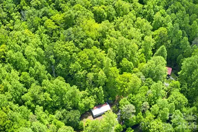 223 Little Cove Road, Sylva, NC 28779 - Photo 8
