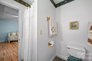 63 Chestnut Frst Rd, Fairview, NC 28730 - Photo 20