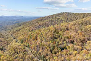 63 Chestnut Frst Rd, Fairview, NC 28730 - Photo 44