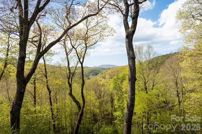 497 Black Locust Circle, Blowing Rock, NC 28605 - Photo 46