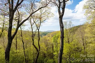 497 Black Locust Cir, Blowing Rock, NC 28605 - Photo 44